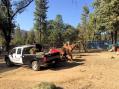 Caldor Fire - Horses being fed by Folsom Police